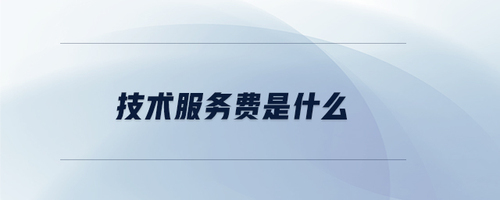 技術(shù)服務(wù)費(fèi) 解析技術(shù)咨詢(xún)與服務(wù)的核心內(nèi)涵